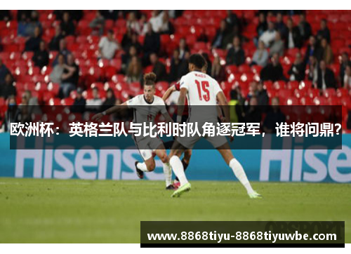 欧洲杯：英格兰队与比利时队角逐冠军，谁将问鼎？