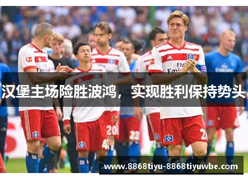 汉堡主场险胜波鸿，实现胜利保持势头